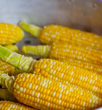 Propiedades del maíz