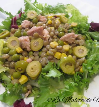 Ensalada de lentejas