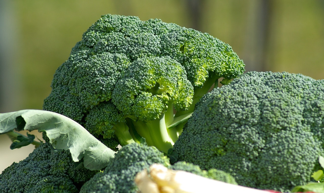 👉 Conoce las propiedades del brócoli | Tips saludables