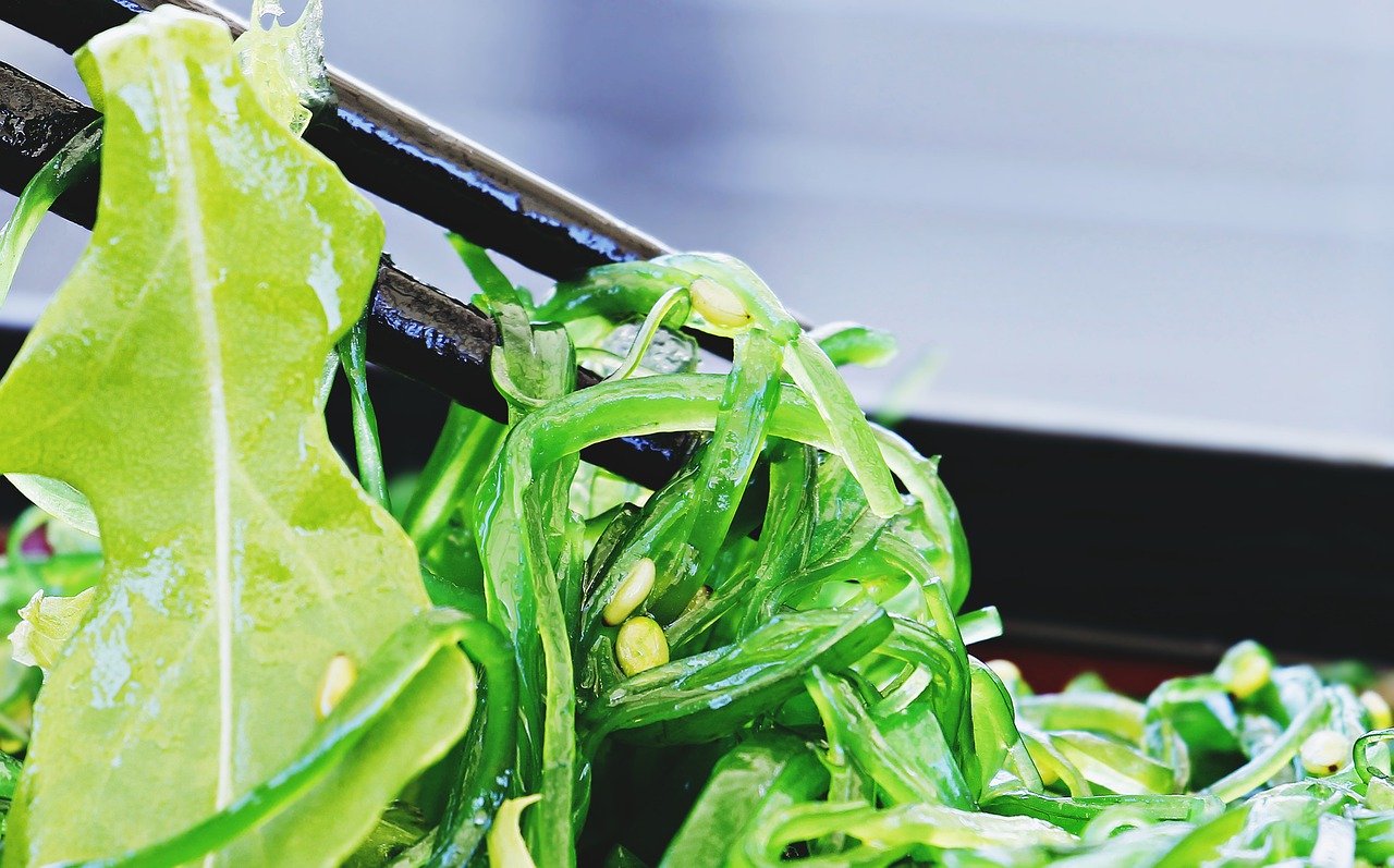 Beneficios y propiedades del alga wakame