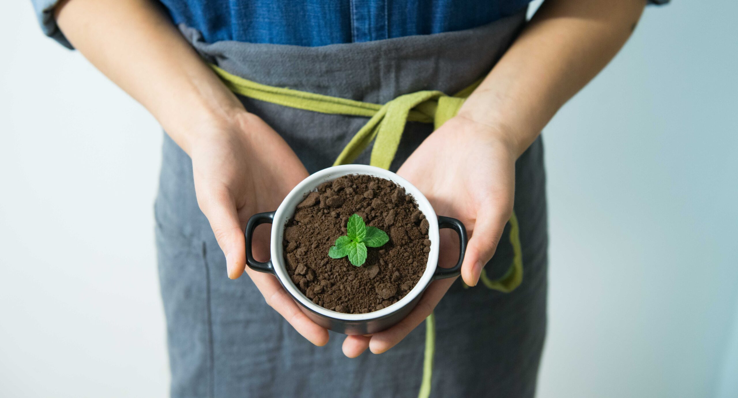 🔴 Cómo cultivar tus propias hierbas y verduras en casa