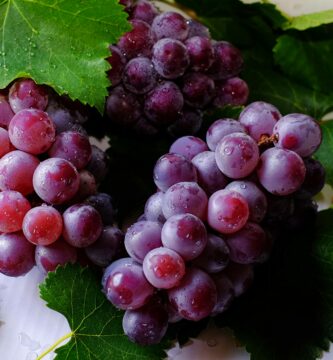 uvas